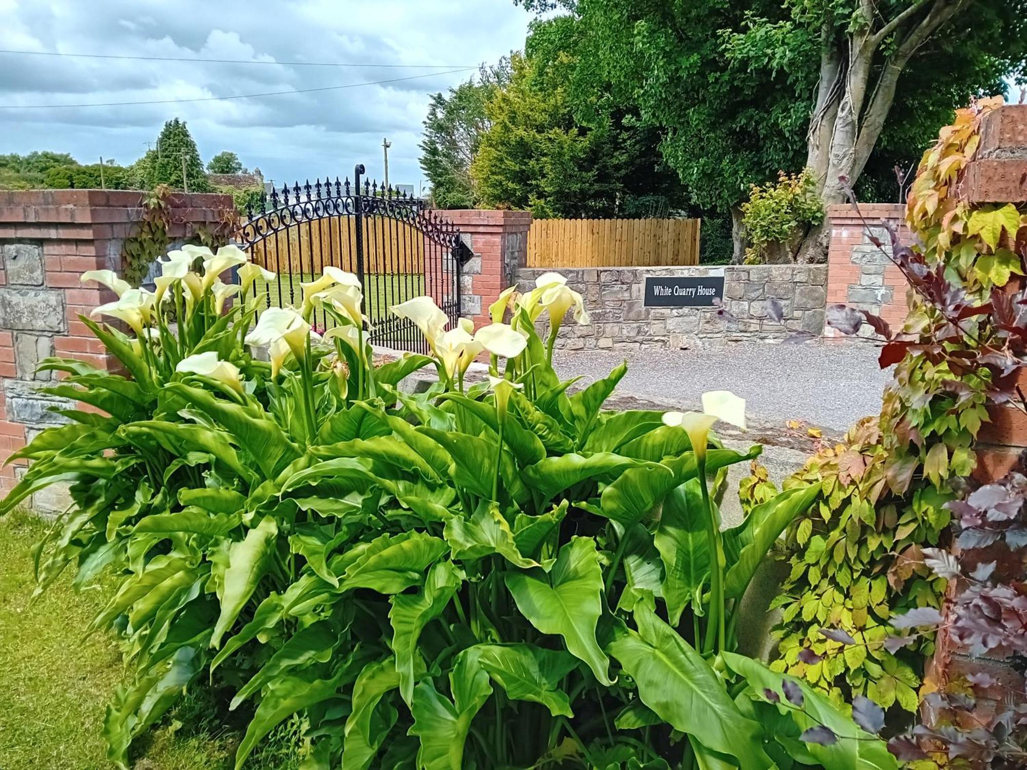 White Quarry Hse Quarry Road Pensionat Navan Exteriör bild